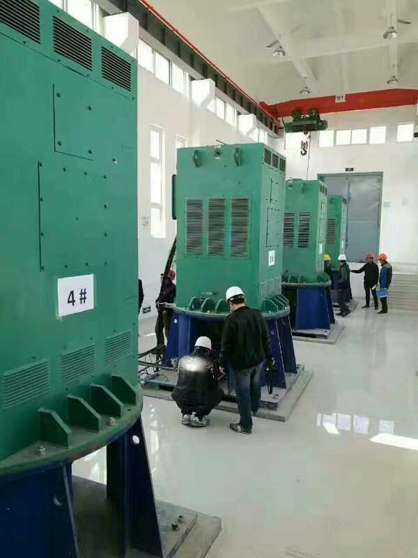 YKK5005-6某污水处理厂使用我厂的立式高压电机安装现场