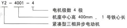 YR系列(H355-1000)高压YKK5005-6三相异步电机西安西玛电机型号说明